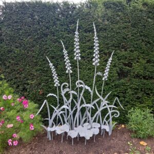 David Turner: Foxgloves