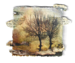 Etain O'Carroll: Mixed media collage of trees and text