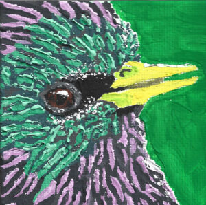 Lola Knopp: Mini Bird Study 1- Starling (gouache on canvas) The first in a series of mini canvases depicting images of birds I find fascinating. The starling shimmers under just the right light