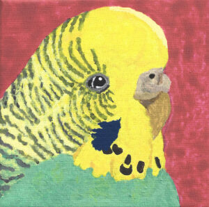 Lola Knopp: Misty (acrylic on canvas) a close up headshot of one of my own birds