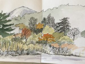 Sue Hill WOA: A sketch from an amazing holiday in Japan.