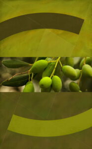Chris Jennings: Olive