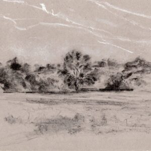Emma Coleman-jones OAS: Port Meadow: black poplar 16th  September 2024
