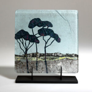 Wendy Newhofer OAS, OCG: umbrella pines