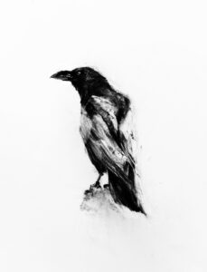 Kath Fotheringham: Raven in the churchyard