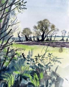 Rebecca Carrozza: Sketching - The Springline Route in Spring