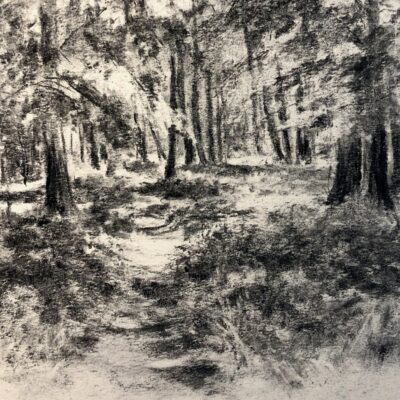 spring walk at Maidensgrove