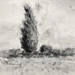 Emma Coleman-jones OAS: Lombardy poplar , Thames Path