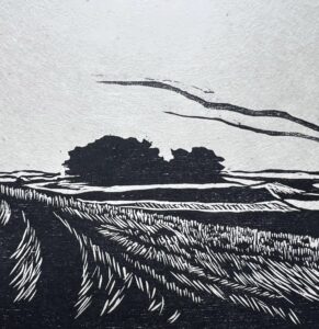 Community Art installation, Dorchester Festival: Castle Hill. Woodcut by Sally-Anne Stewart