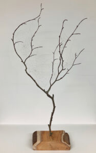 Cool Contours Venue: Linda Johns - Sculptures