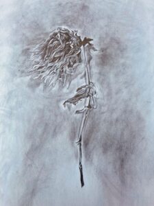 Julie Herd: Wilted Dahlia. Graphite on paper.