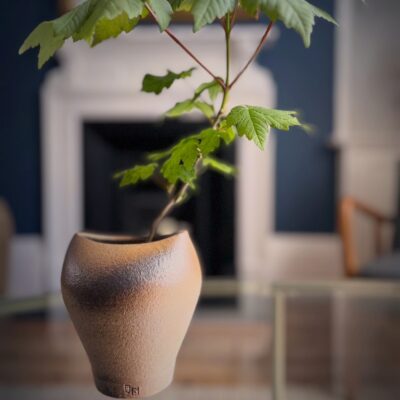 Reduction-Wood Fired-Stoneware