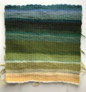 Nimmi Naidoo: woven landscape