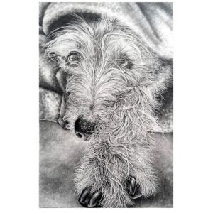 Sue Side OAS: Bess, graphite drawing