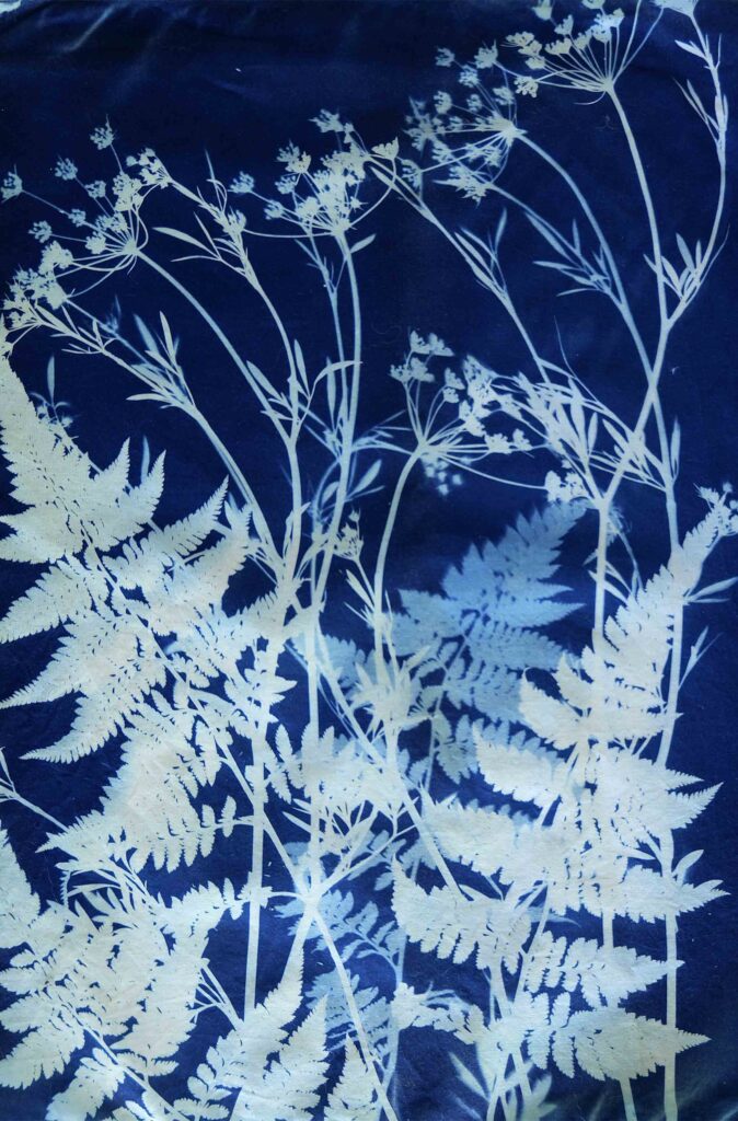 Cyanotype Demonstration
